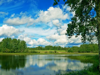 2017 – год экологии